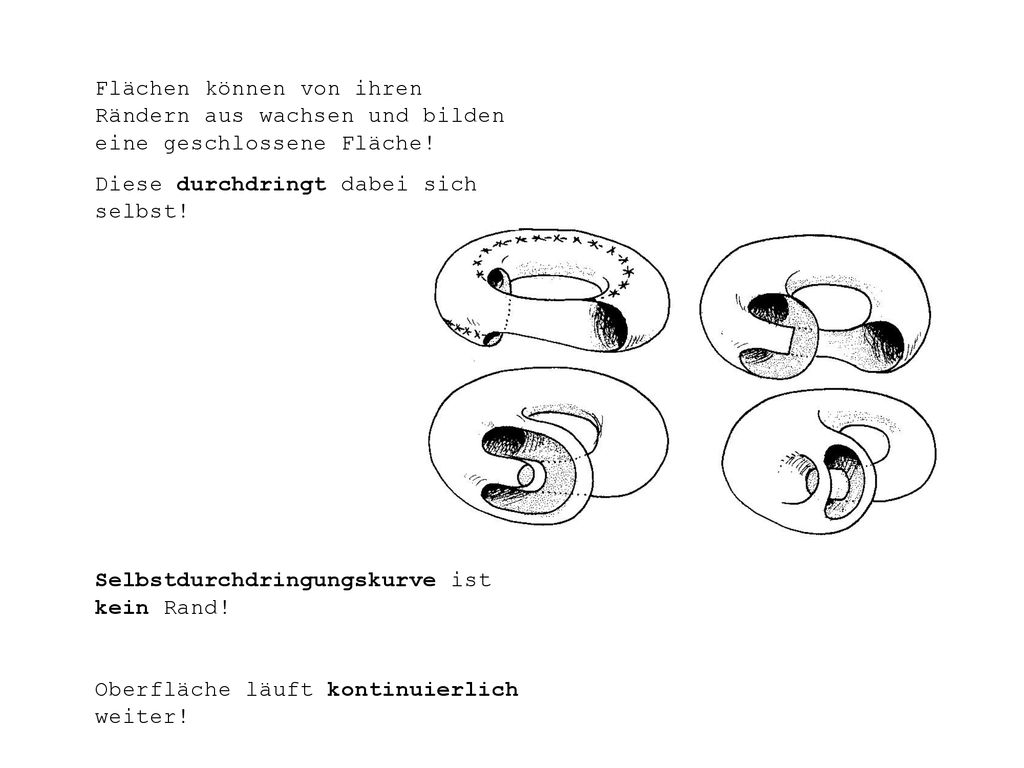 Flächen können von ihren Rändern aus wachsen und bilden eine geschlossene Fläche!
