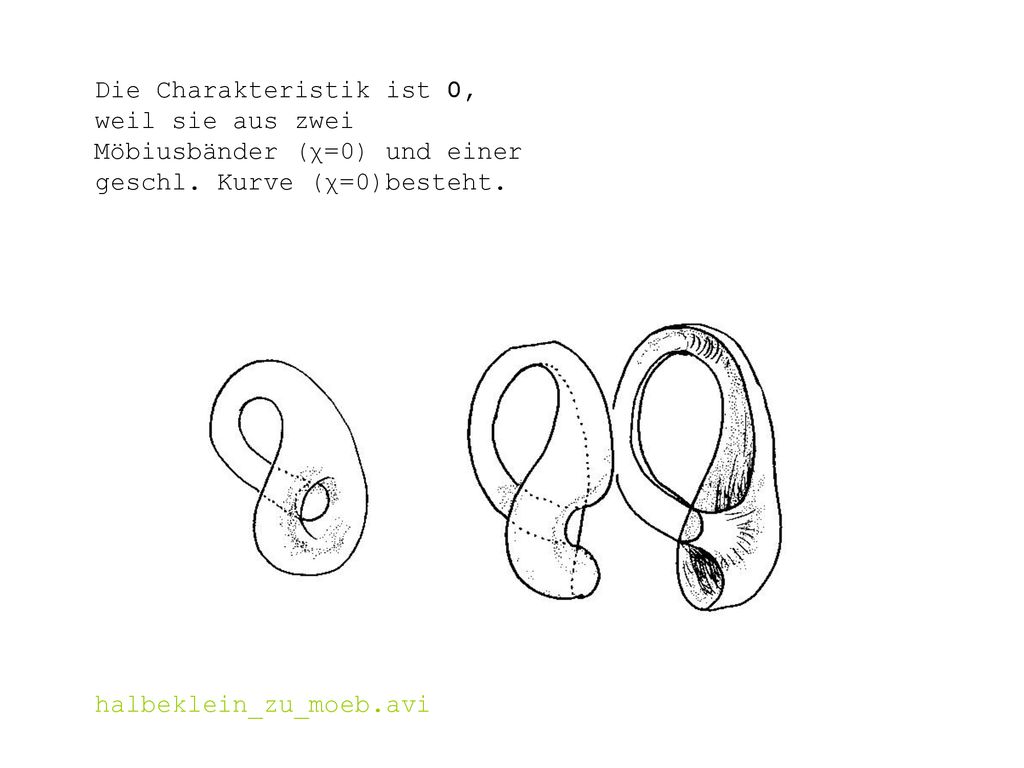 Die Charakteristik ist 0, weil sie aus zwei Möbiusbänder (χ=0) und einer geschl. Kurve (χ=0)besteht.