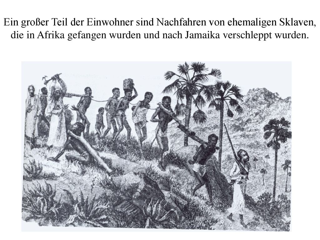 Ein großer Teil der Einwohner sind Nachfahren von ehemaligen Sklaven, die in Afrika gefangen wurden und nach Jamaika verschleppt wurden.
