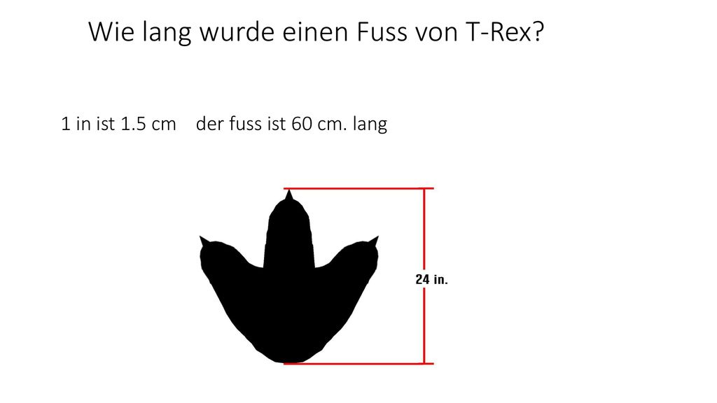 Wie lang wurde einen Fuss von T-Rex. 1 in ist 1