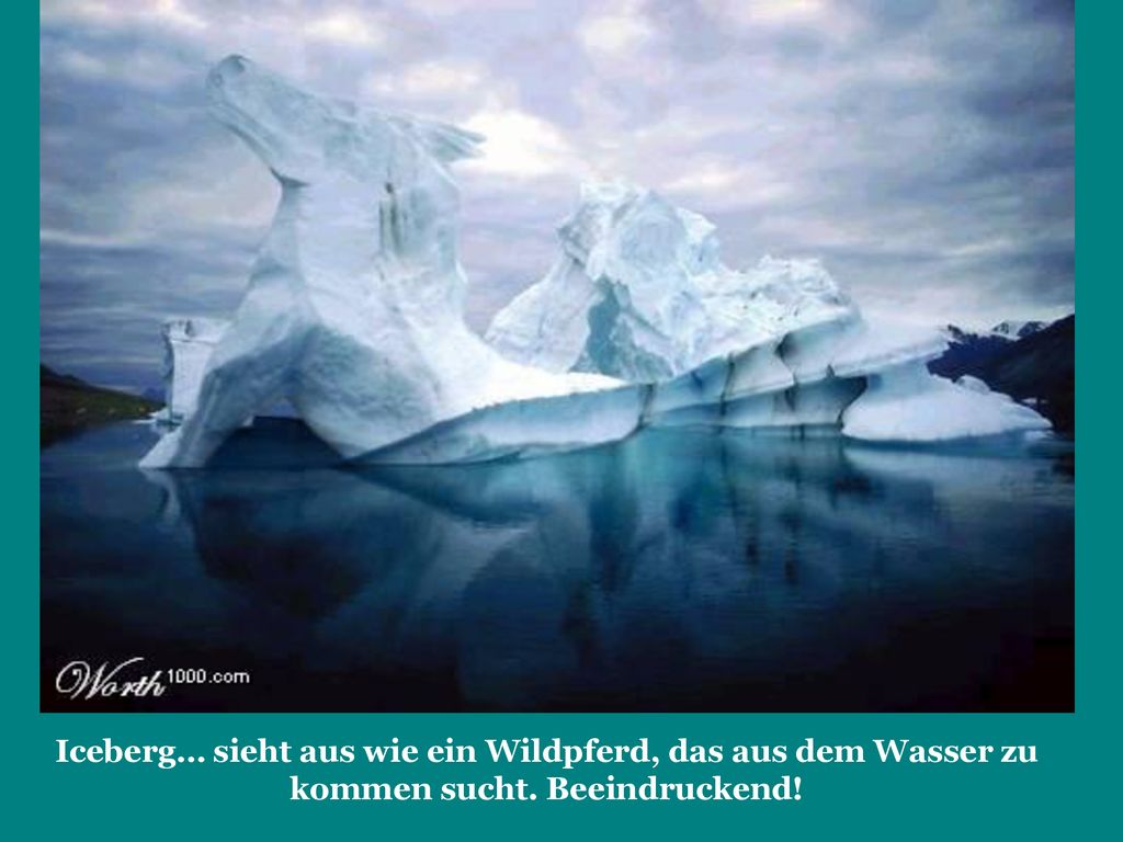 Iceberg… sieht aus wie ein Wildpferd, das aus dem Wasser zu kommen sucht. Beeindruckend!