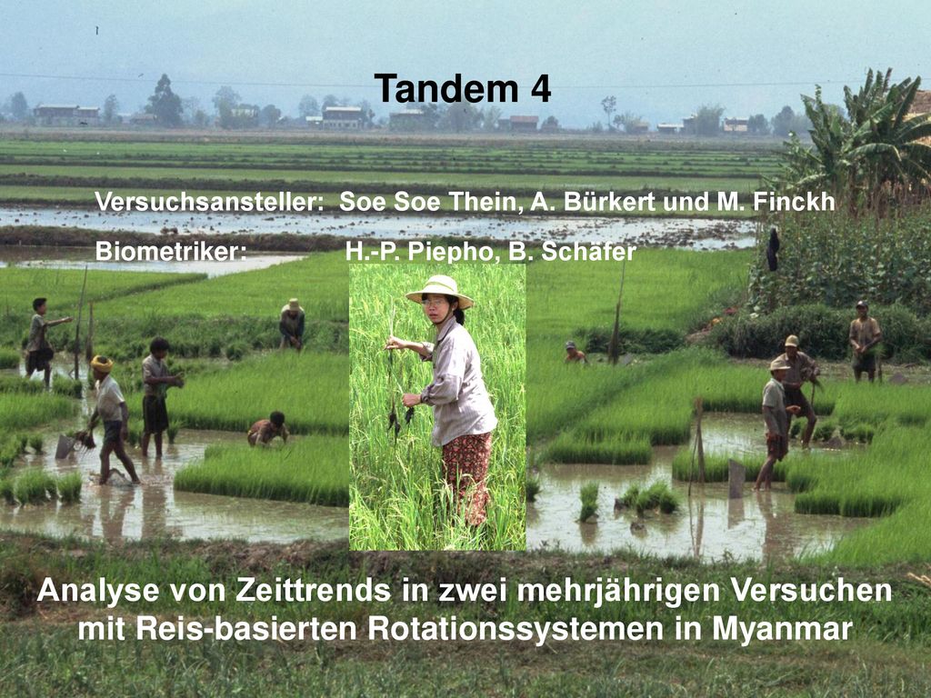 Tandem 4 Versuchsansteller: Soe Soe Thein, A. Bürkert und M