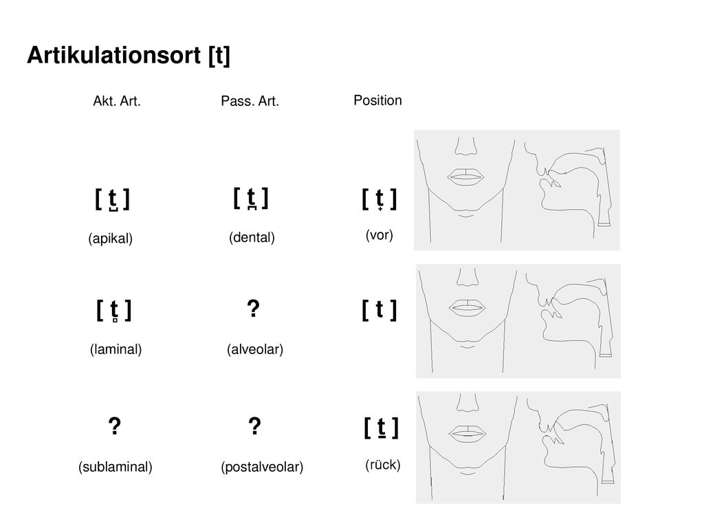 Artikulationsort [t] [ t̺ ] [ t̪ ] [ t̟ ] [ t̻ ] [ t ] [ ṯ ]