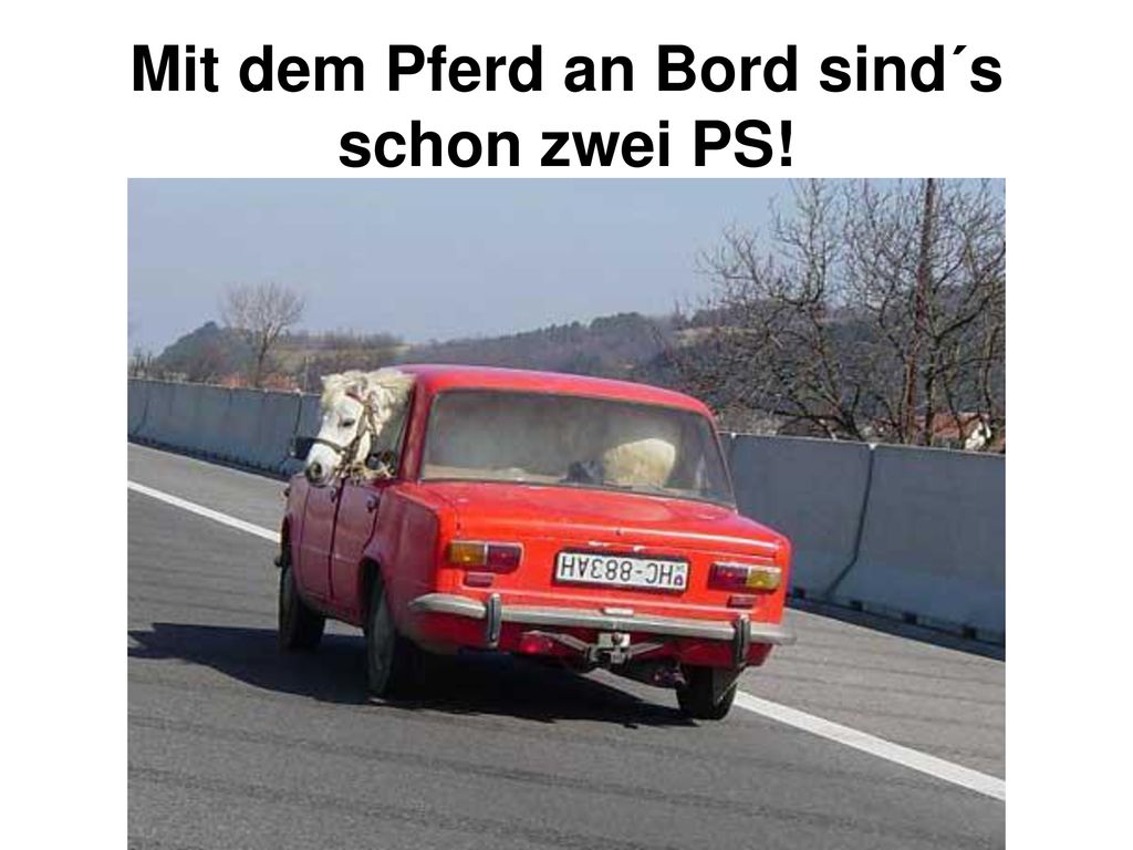 Mit dem Pferd an Bord sind´s schon zwei PS!