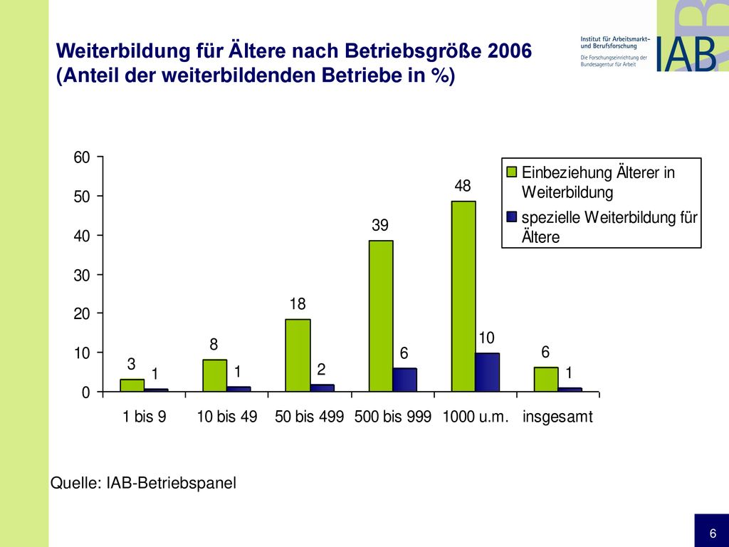 Weiterbildung für Ältere nach Betriebsgröße 2006 (Anteil der weiterbildenden Betriebe in %)