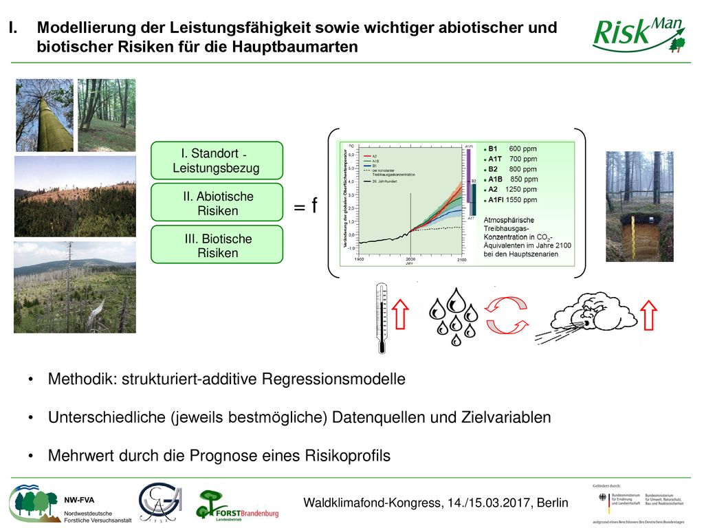 Modellierung der Leistungsfähigkeit sowie wichtiger abiotischer und biotischer Risiken für die Hauptbaumarten