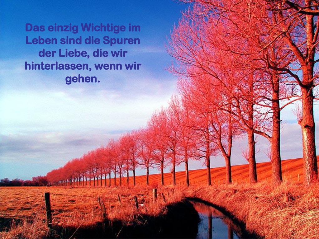 Das einzig Wichtige im Leben sind die Spuren der Liebe, die wir hinterlassen, wenn wir gehen.
