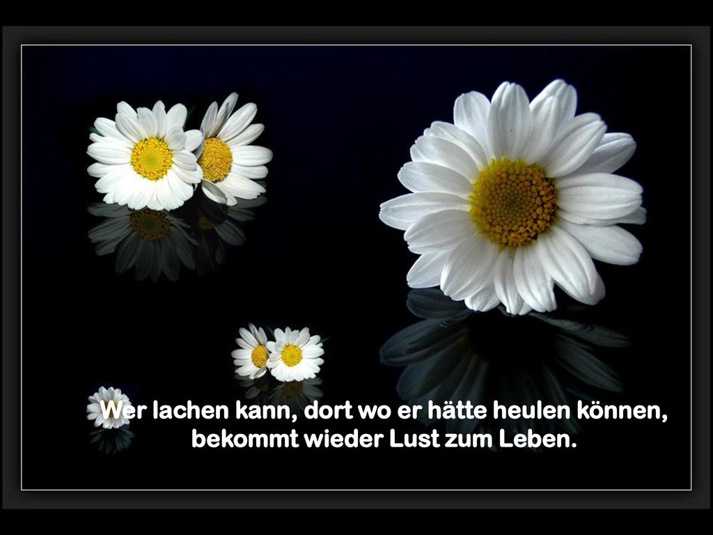 Wer lachen kann, dort wo er hätte heulen können, bekommt wieder Lust zum Leben.