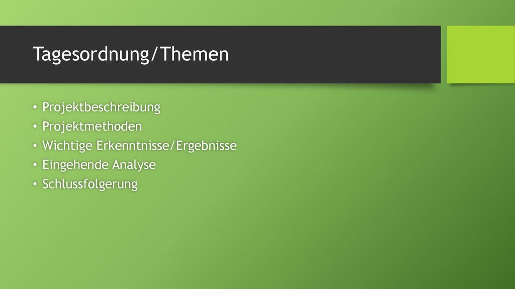 Tagesordnung/Themen Projektbeschreibung Projektmethoden