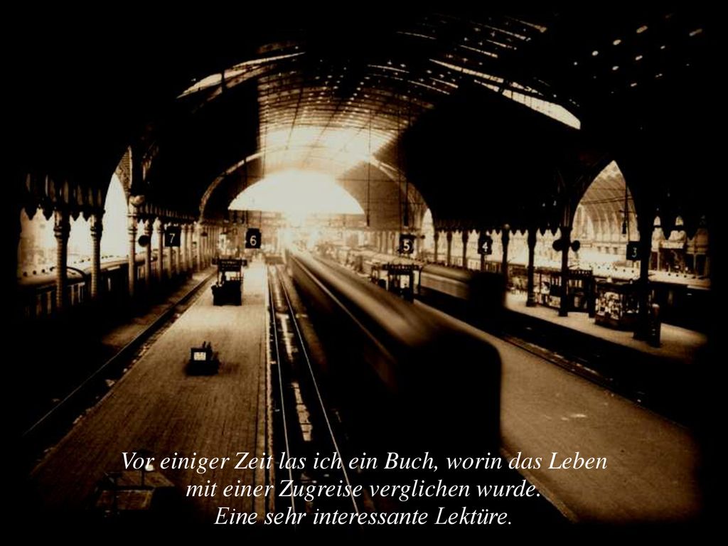 Vor einiger Zeit las ich ein Buch, worin das Leben
