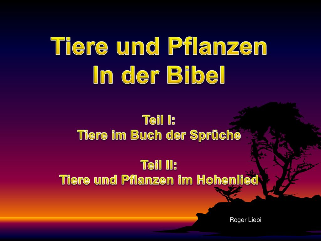 Tiere im Buch der Sprüche Tiere und Pflanzen im Hohenlied