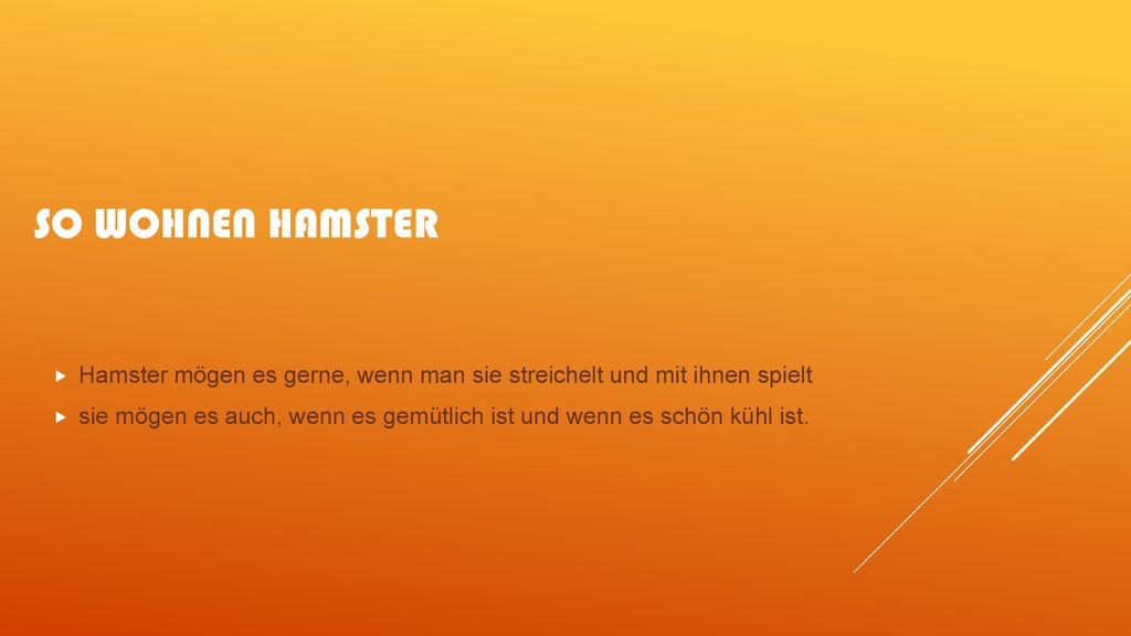 So wohnen hamster Hamster mögen es gerne, wenn man sie streichelt und mit ihnen spielt.
