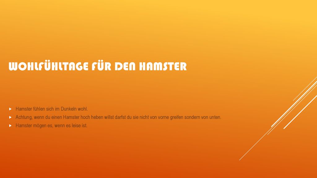 Wohlfühltage für den hamster