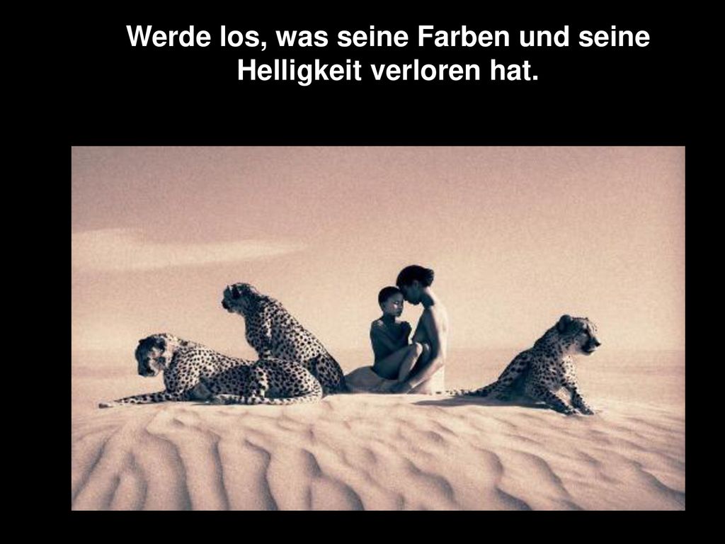 Werde los, was seine Farben und seine Helligkeit verloren hat.