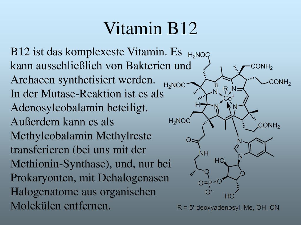 Vitamin B12 B12 ist das komplexeste Vitamin. Es kann ausschließlich von Bakterien und Archaeen synthetisiert werden.