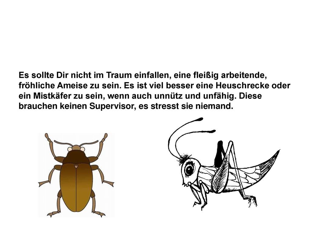 Es sollte Dir nicht im Traum einfallen, eine fleißig arbeitende, fröhliche Ameise zu sein.