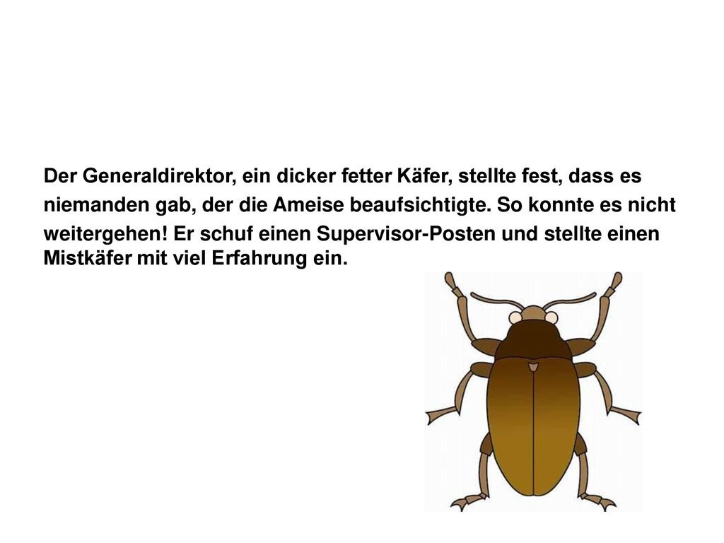 Der Generaldirektor, ein dicker fetter Käfer, stellte fest, dass es