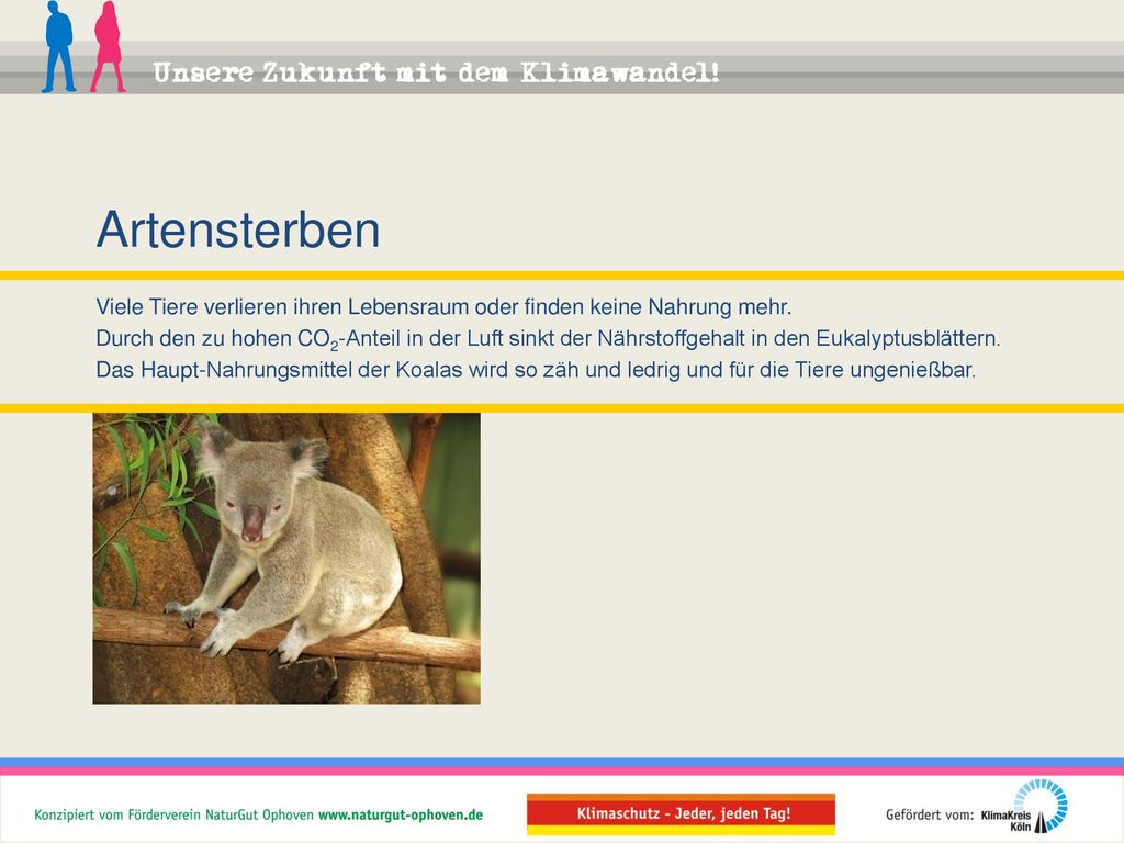 Artensterben Viele Tiere verlieren ihren Lebensraum oder finden keine Nahrung mehr.