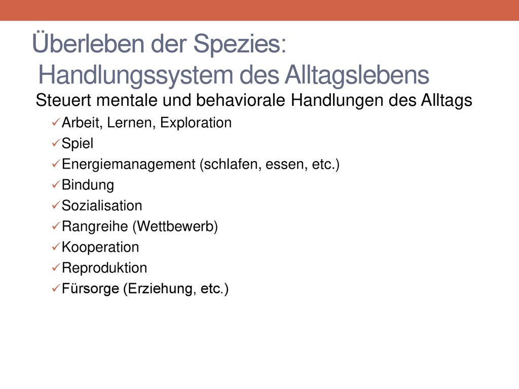 Überleben der Spezies: Handlungssystem des Alltagslebens