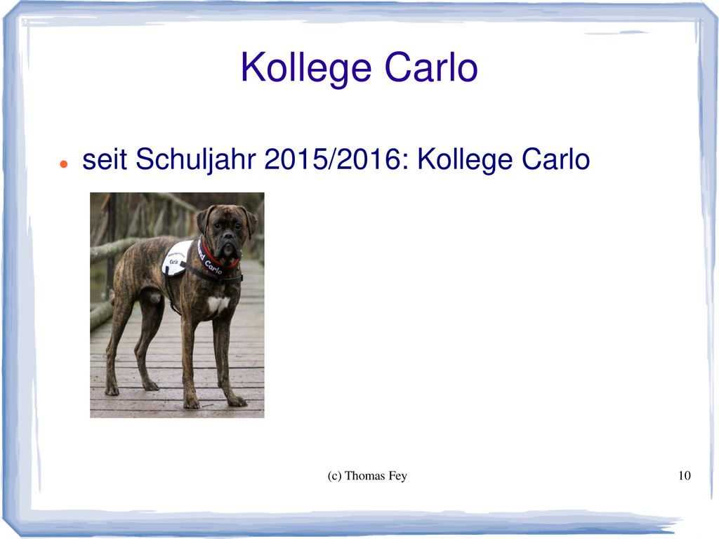 Kollege Carlo seit Schuljahr 2015/2016: Kollege Carlo (c) Thomas Fey