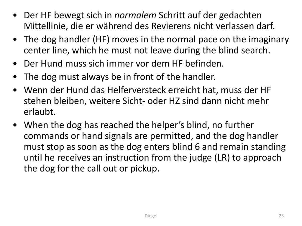 Der Hund muss sich immer vor dem HF befinden.