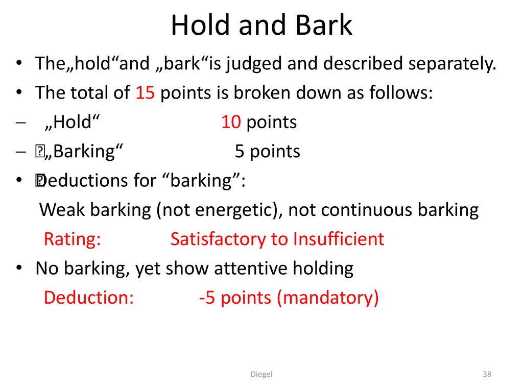 Hold and Bark The„hold and „bark is judged and described separately.