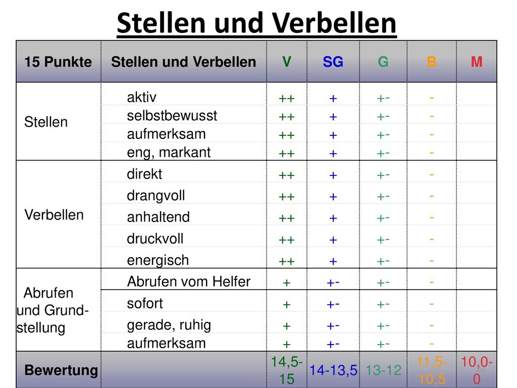 Stellen und Verbellen 15 Punkte Stellen und Verbellen V SG G B M