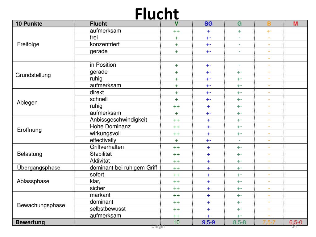Flucht 10 Punkte Flucht V SG G B M Freifolge aufmerksam frei -