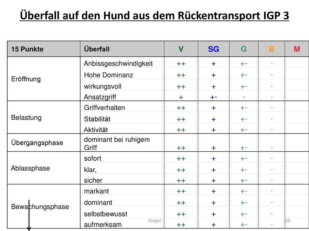 Überfall auf den Hund aus dem Rückentransport IGP 3