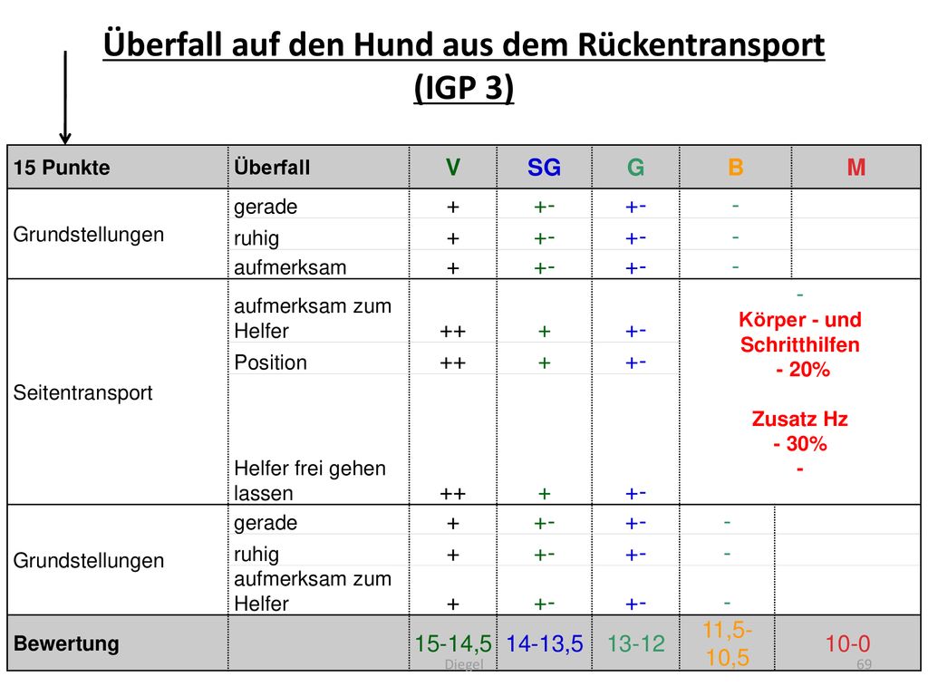 Überfall auf den Hund aus dem Rückentransport (IGP 3)