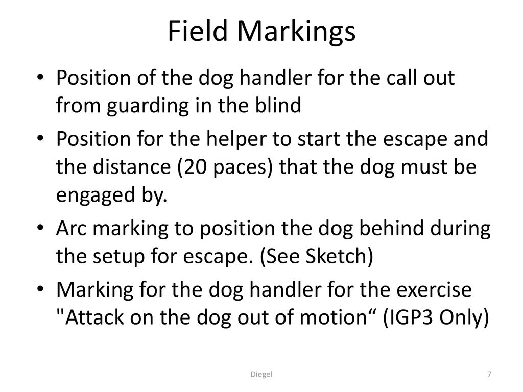 Field Markings Position of the dog handler for the call out from guarding in the blind.