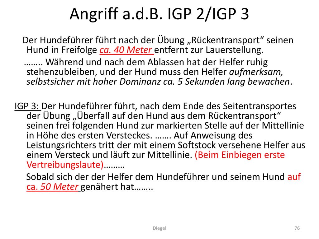 Angriff a.d.B. IGP 2/IGP 3 Der Hundeführer führt nach der Übung „Rückentransport seinen Hund in Freifolge ca. 40 Meter entfernt zur Lauerstellung.
