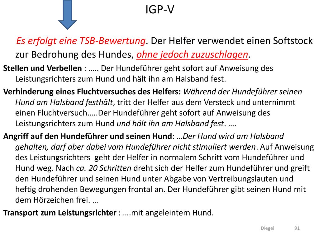 IGP-V Es erfolgt eine TSB-Bewertung. Der Helfer verwendet einen Softstock zur Bedrohung des Hundes, ohne jedoch zuzuschlagen.