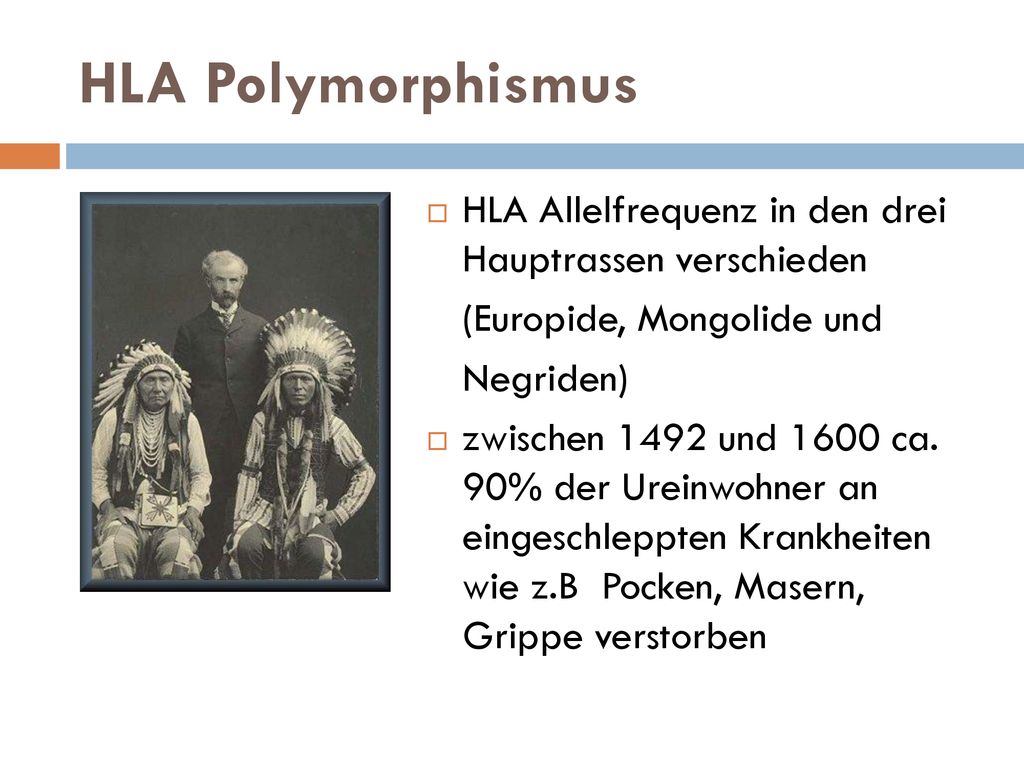 HLA Polymorphismus HLA Allelfrequenz in den drei Hauptrassen verschieden. (Europide, Mongolide und.