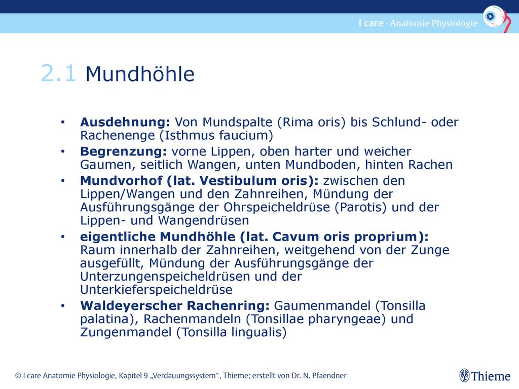 2.1 Mundhöhle Ausdehnung: Von Mundspalte (Rima oris) bis Schlund- oder Rachenenge (Isthmus faucium)