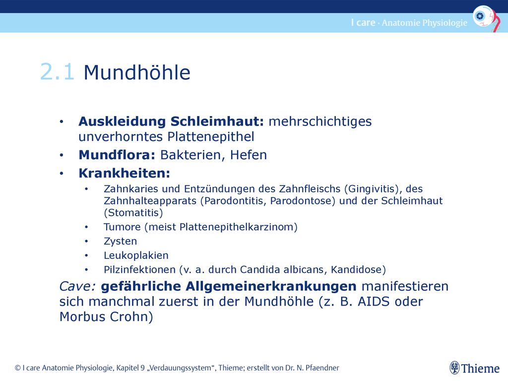 2.1 Mundhöhle Auskleidung Schleimhaut: mehrschichtiges unverhorntes Plattenepithel. Mundflora: Bakterien, Hefen.