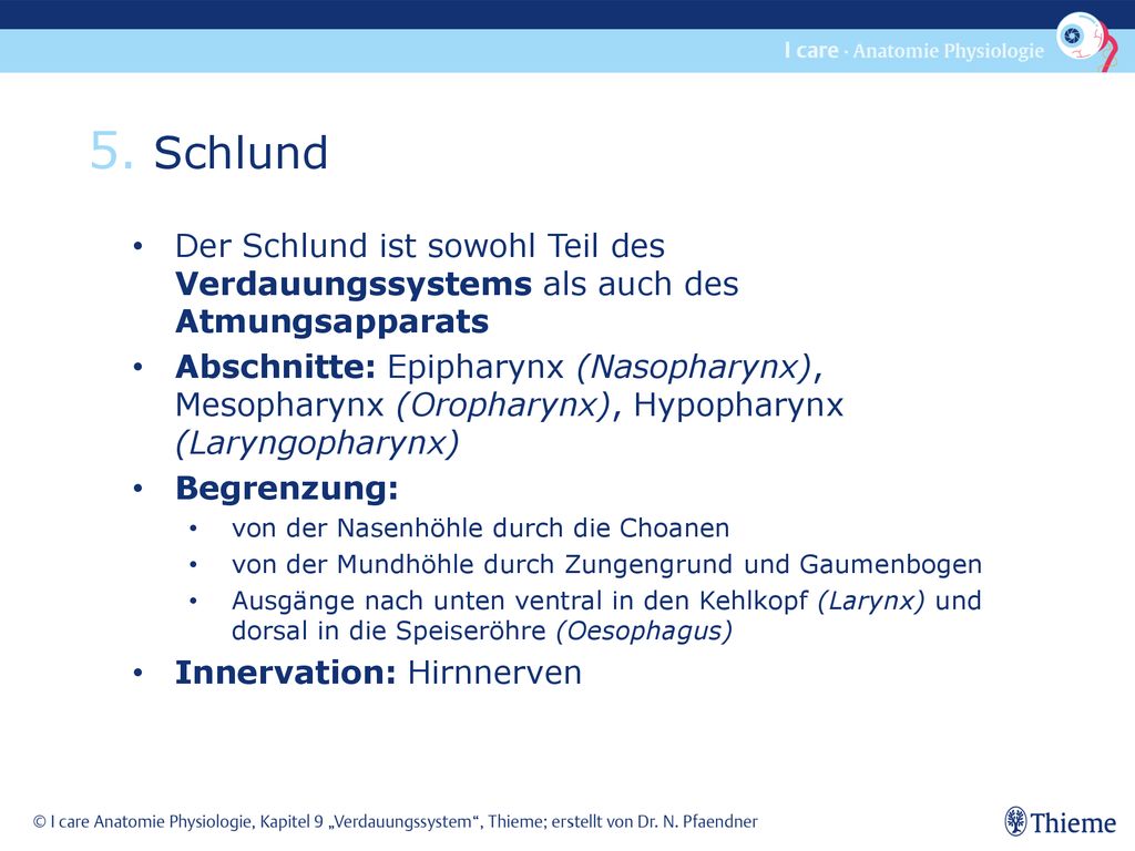 5. Schlund Der Schlund ist sowohl Teil des Verdauungssystems als auch des Atmungsapparats.