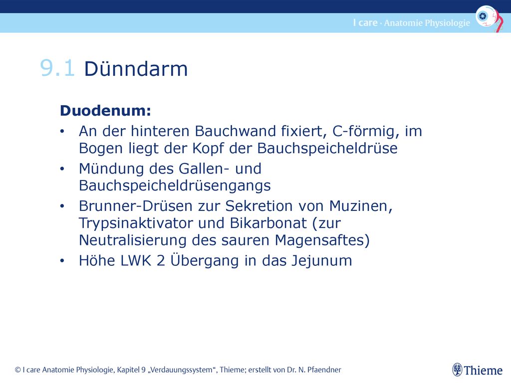 9.1 Dünndarm Duodenum: An der hinteren Bauchwand fixiert, C-förmig, im Bogen liegt der Kopf der Bauchspeicheldrüse.
