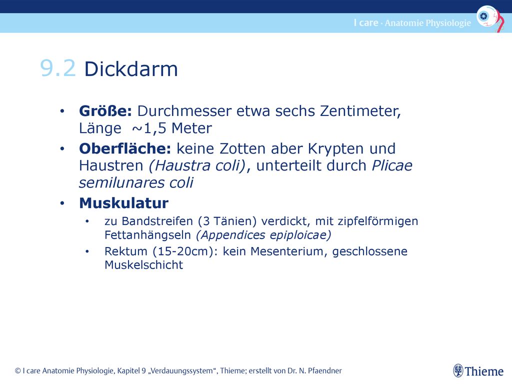 9.2 Dickdarm Größe: Durchmesser etwa sechs Zentimeter, Länge ~1,5 Meter.