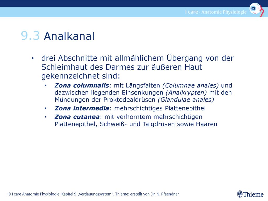 9.3 Analkanal drei Abschnitte mit allmählichem Übergang von der Schleimhaut des Darmes zur äußeren Haut gekennzeichnet sind: