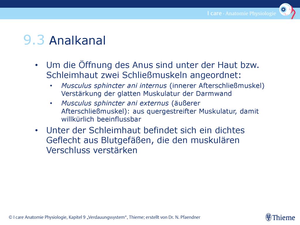 9.3 Analkanal Um die Öffnung des Anus sind unter der Haut bzw. Schleimhaut zwei Schließmuskeln angeordnet: