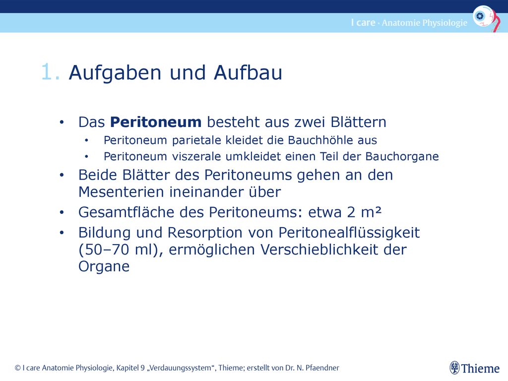 1. Aufgaben und Aufbau Das Peritoneum besteht aus zwei Blättern