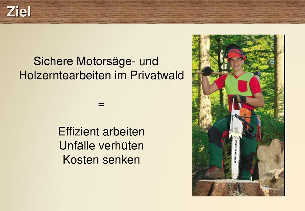Ziel Sichere Motorsäge- und Holzerntearbeiten im Privatwald = Effizient arbeiten Unfälle verhüten Kosten senken.