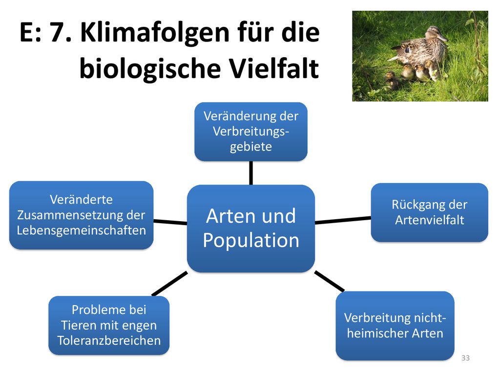 E: 7. Klimafolgen für die biologische Vielfalt Arten und Population
