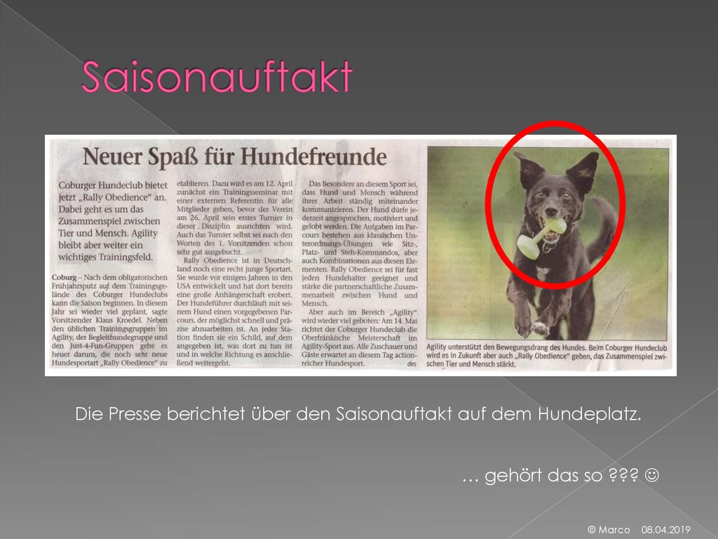 Saisonauftakt Die Presse berichtet über den Saisonauftakt auf dem Hundeplatz. … gehört das so 
