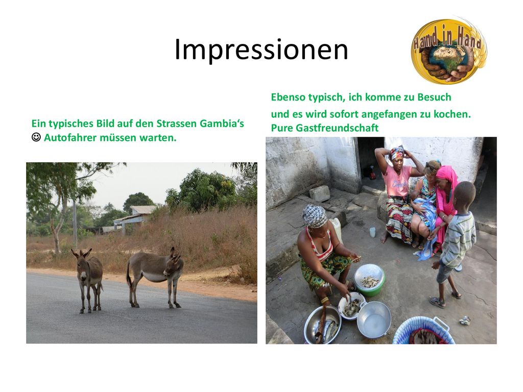 Impressionen Ein typisches Bild auf den Strassen Gambia‘s  Autofahrer müssen warten. Ebenso typisch, ich komme zu Besuch.