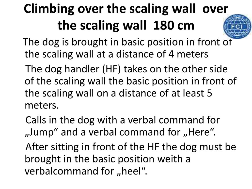 Climbing over the scaling wall over the scaling wall 180 cm