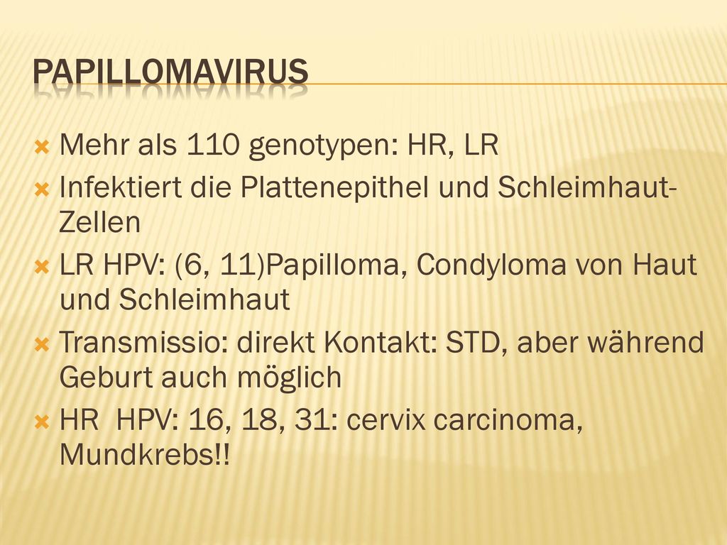Papillomavirus Mehr als 110 genotypen: HR, LR
