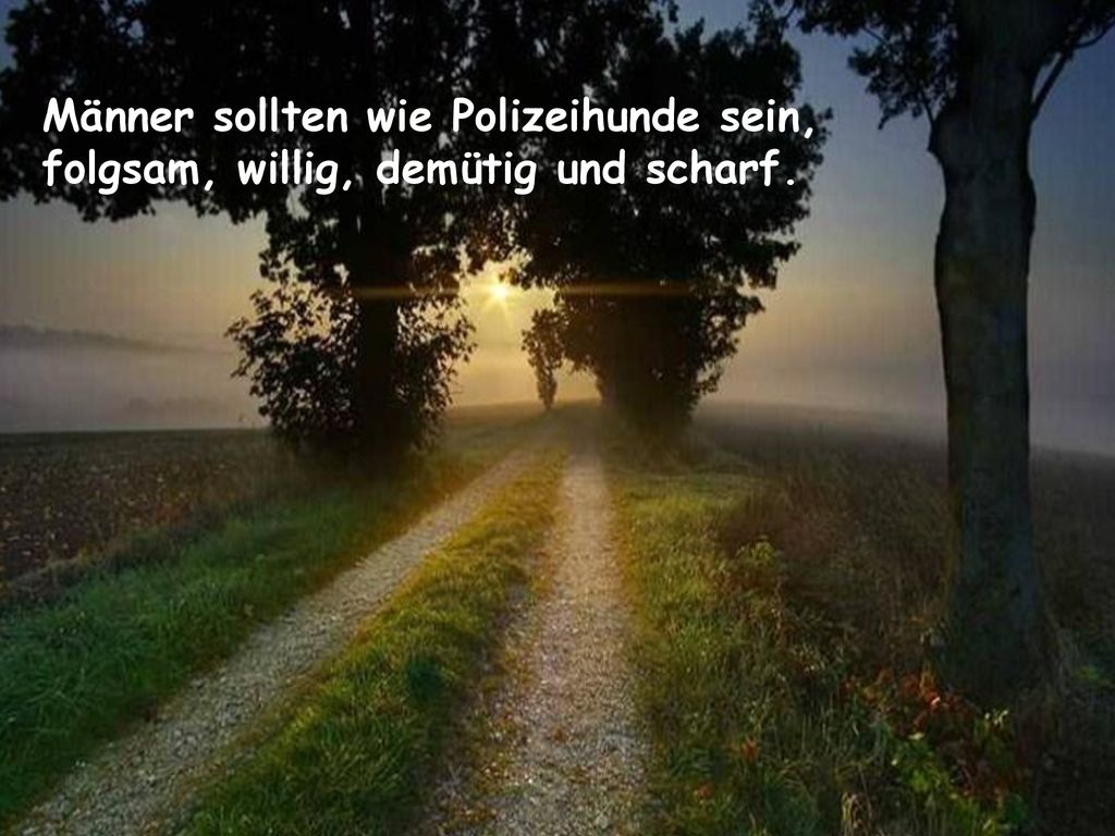 Männer sollten wie Polizeihunde sein, folgsam, willig, demütig und scharf.