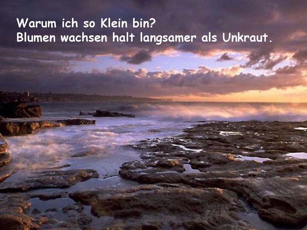 Warum ich so Klein bin Blumen wachsen halt langsamer als Unkraut.